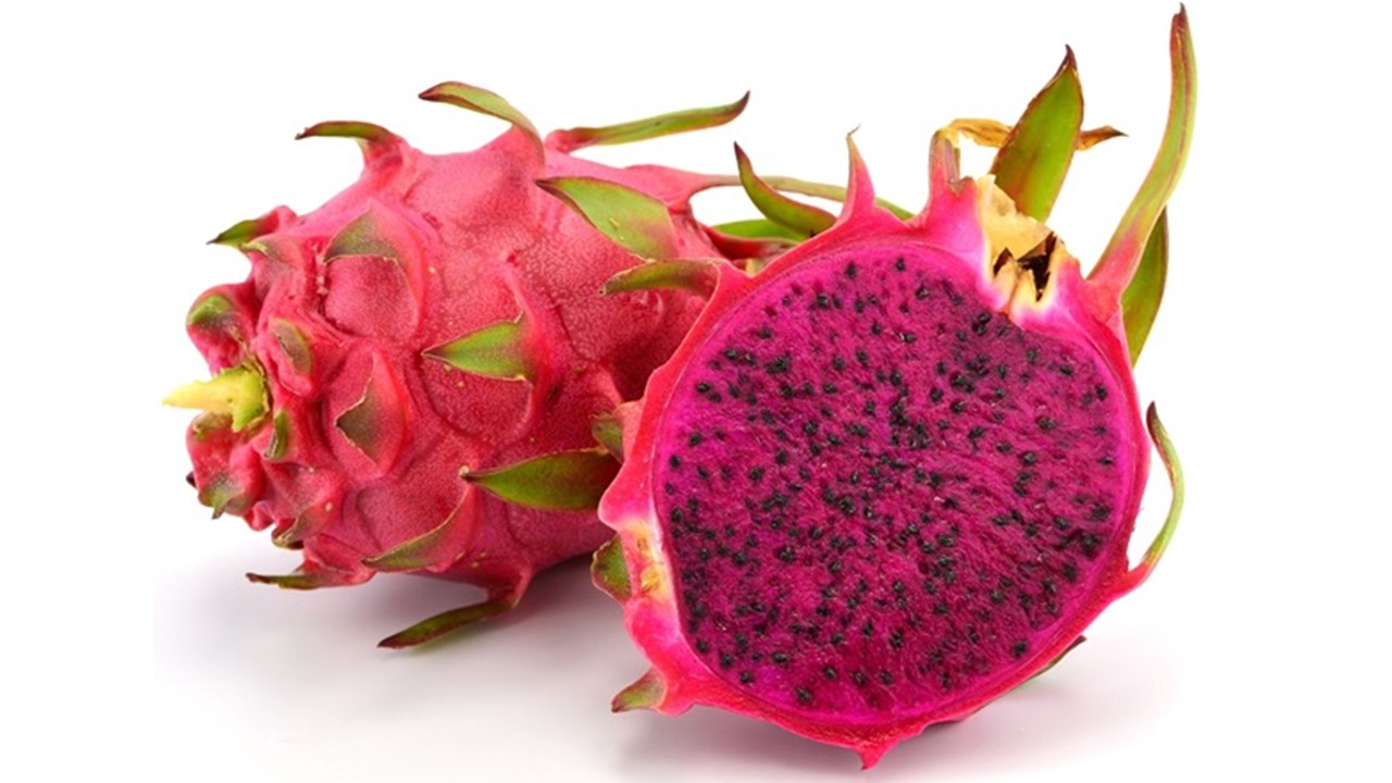 background image of dragon fruit