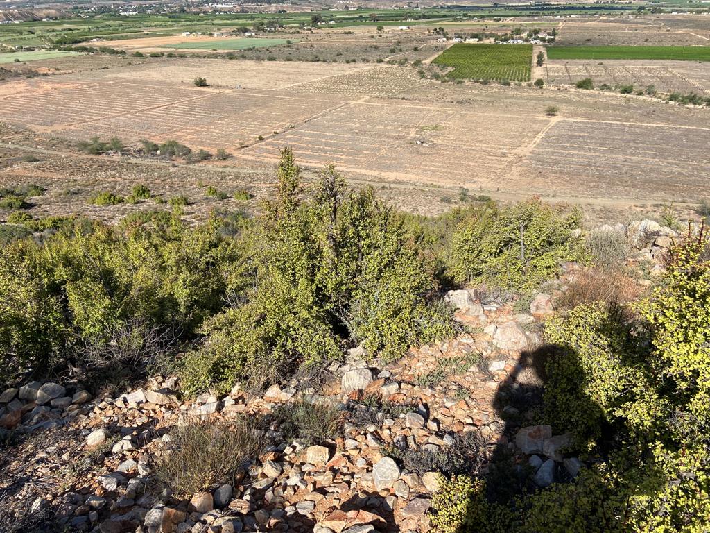 farm landscape