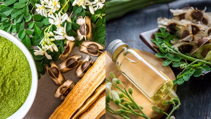 background image of moringa powder and leaves